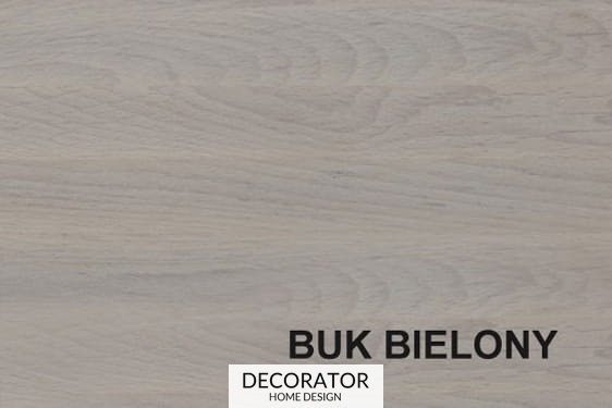 BIELONY.jpg