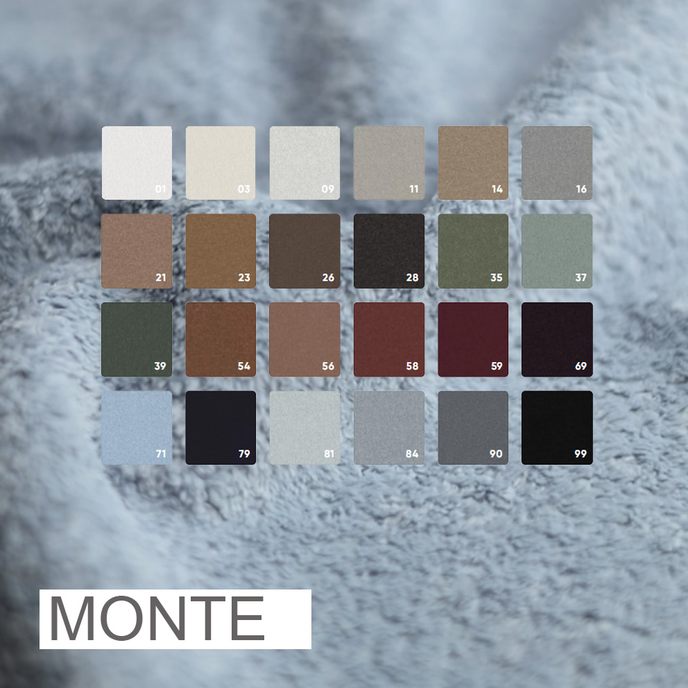 MONTE