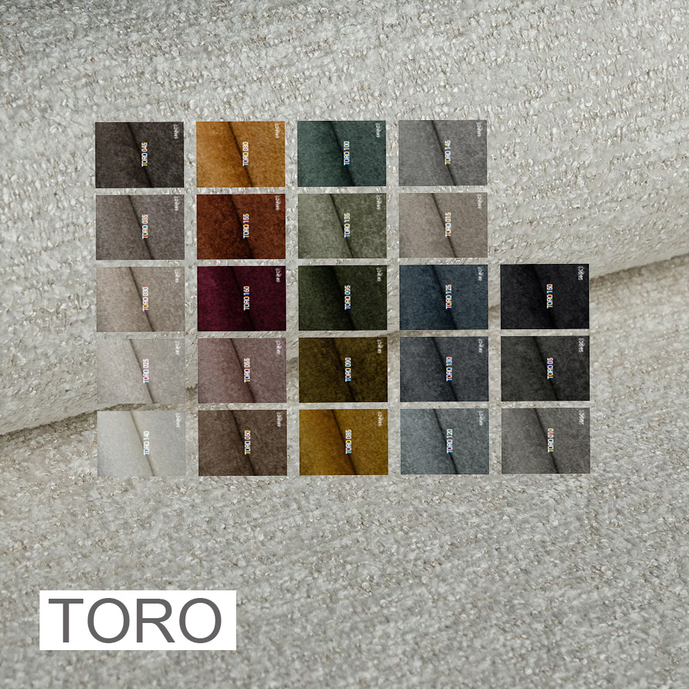 TORRO