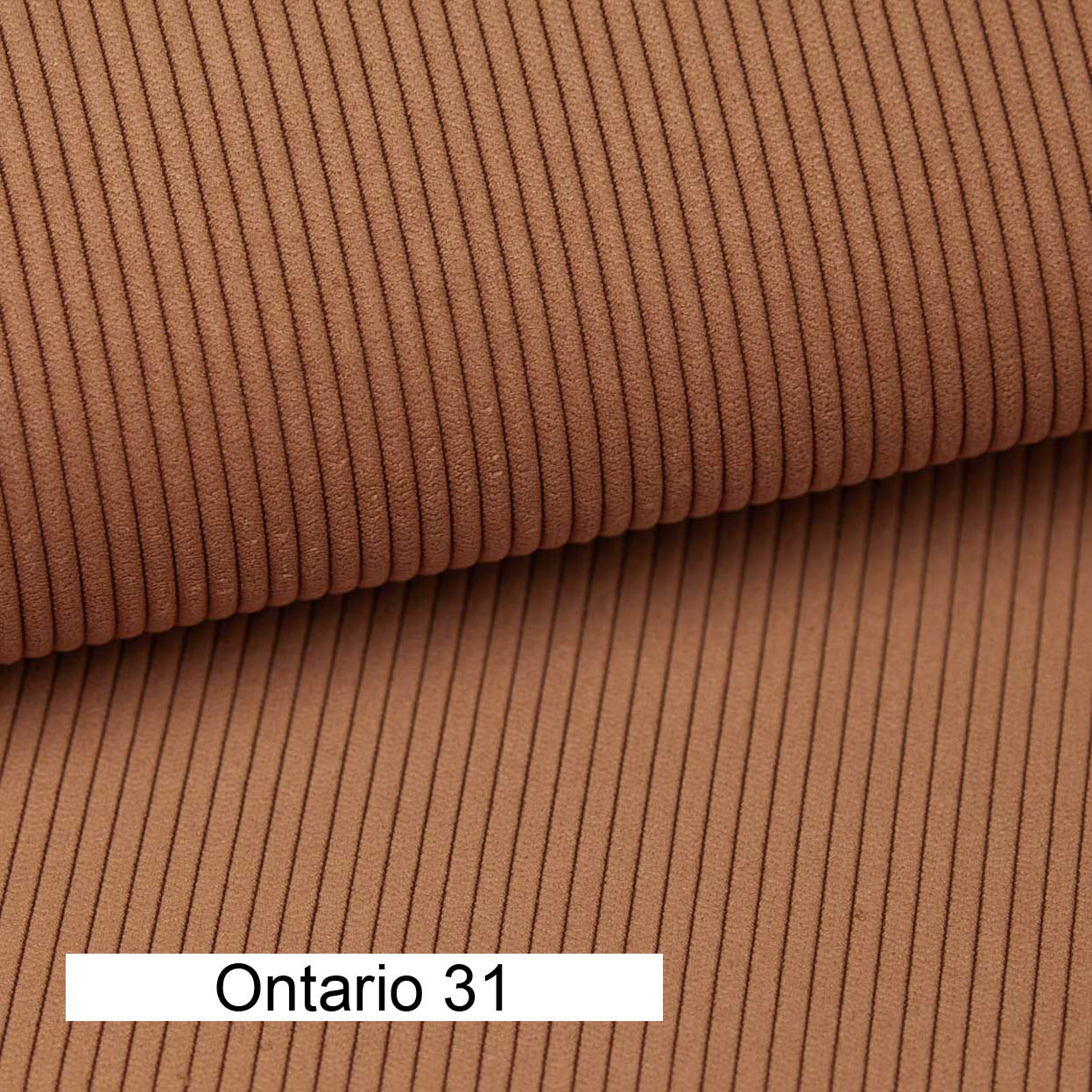 ONTARIO_31.jpg