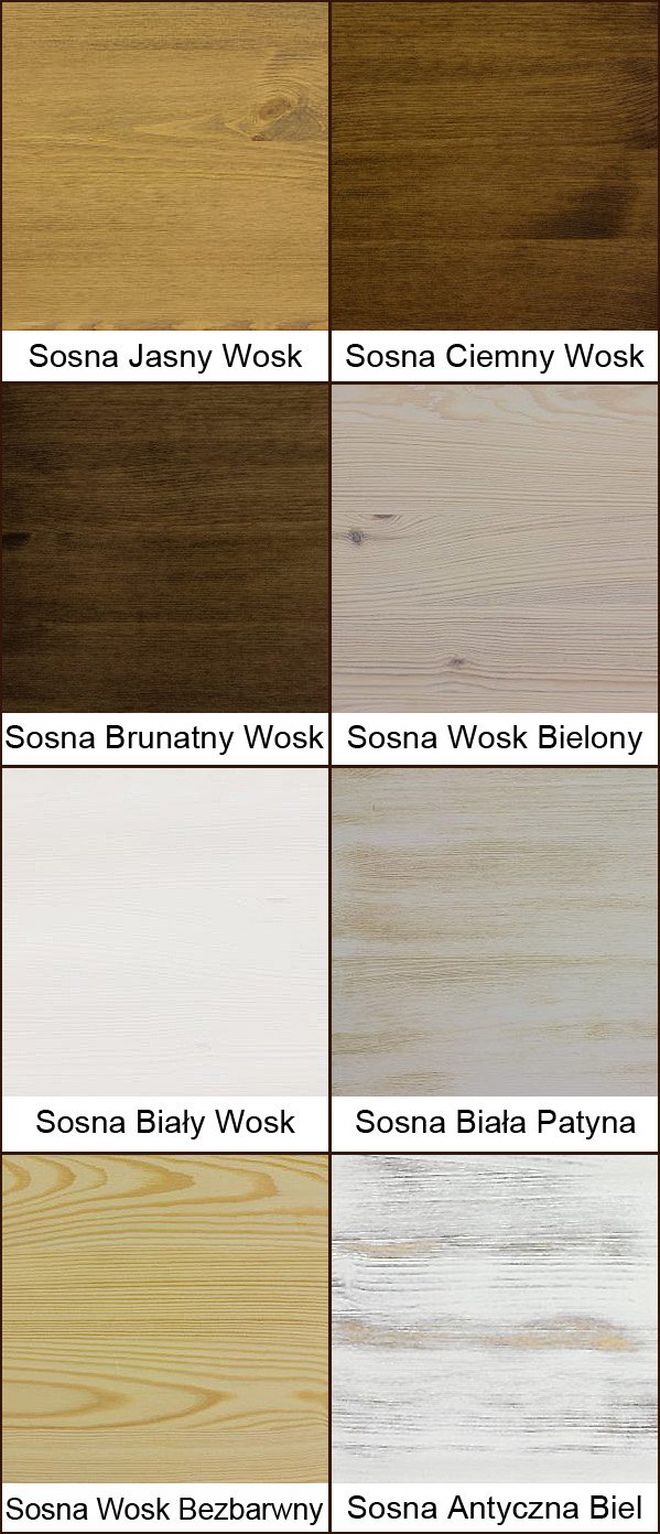 KOLORY SOSNA