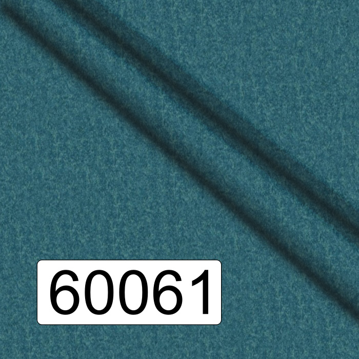 60061
